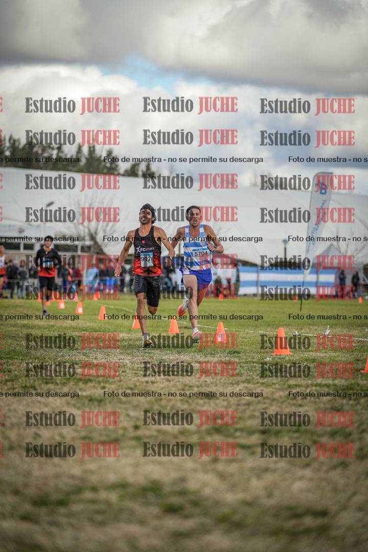 Fotos de las llegadas