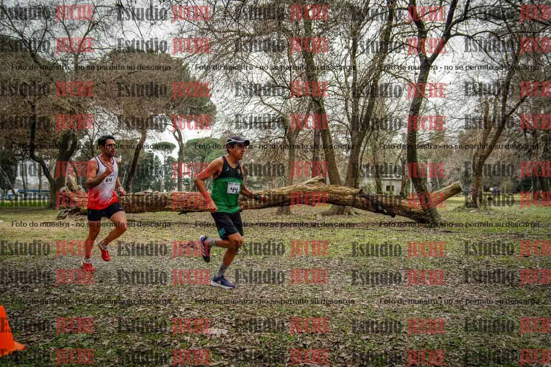 Fotos en el circuito
