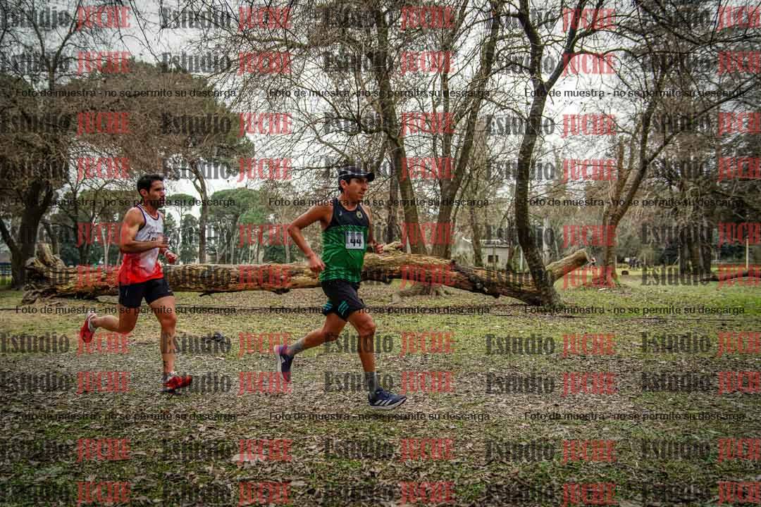 Fotos en el circuito