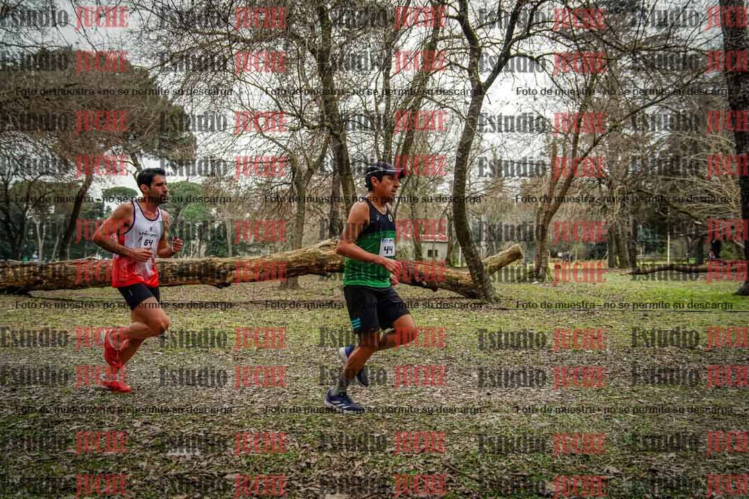 Fotos en el circuito