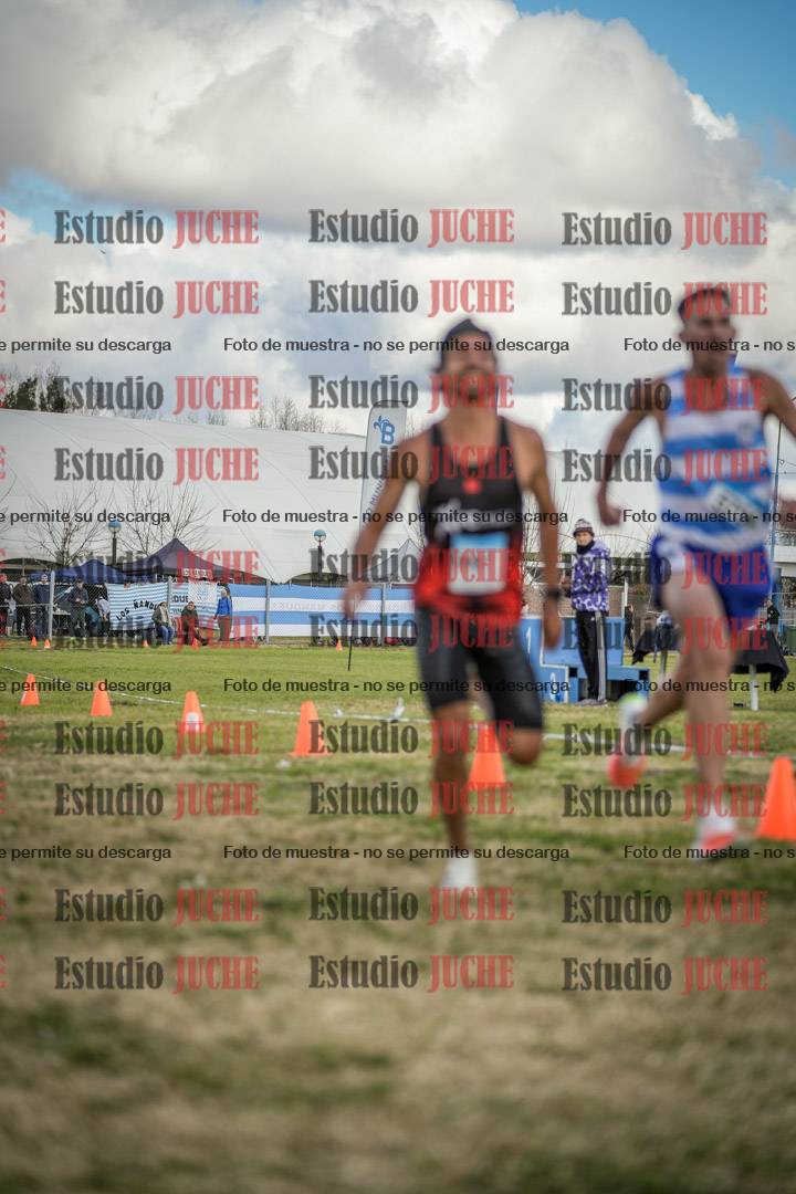 Fotos de las llegadas