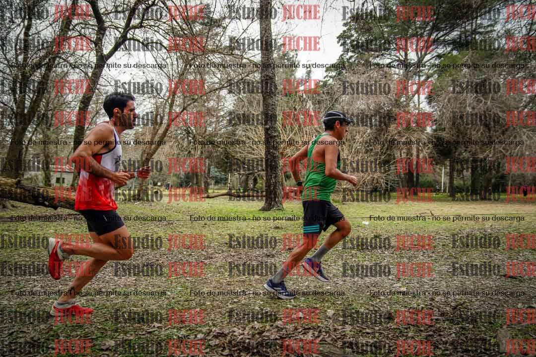 Fotos en el circuito