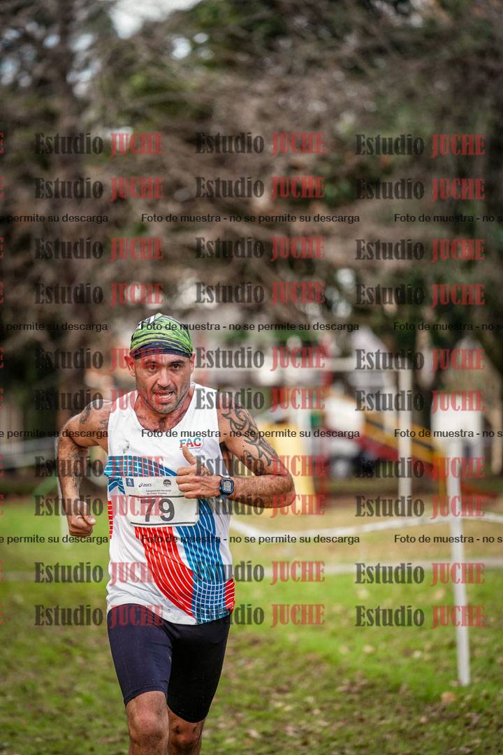 Fotos en el circuito