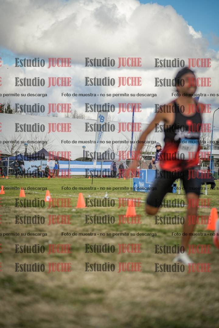 Fotos de las llegadas
