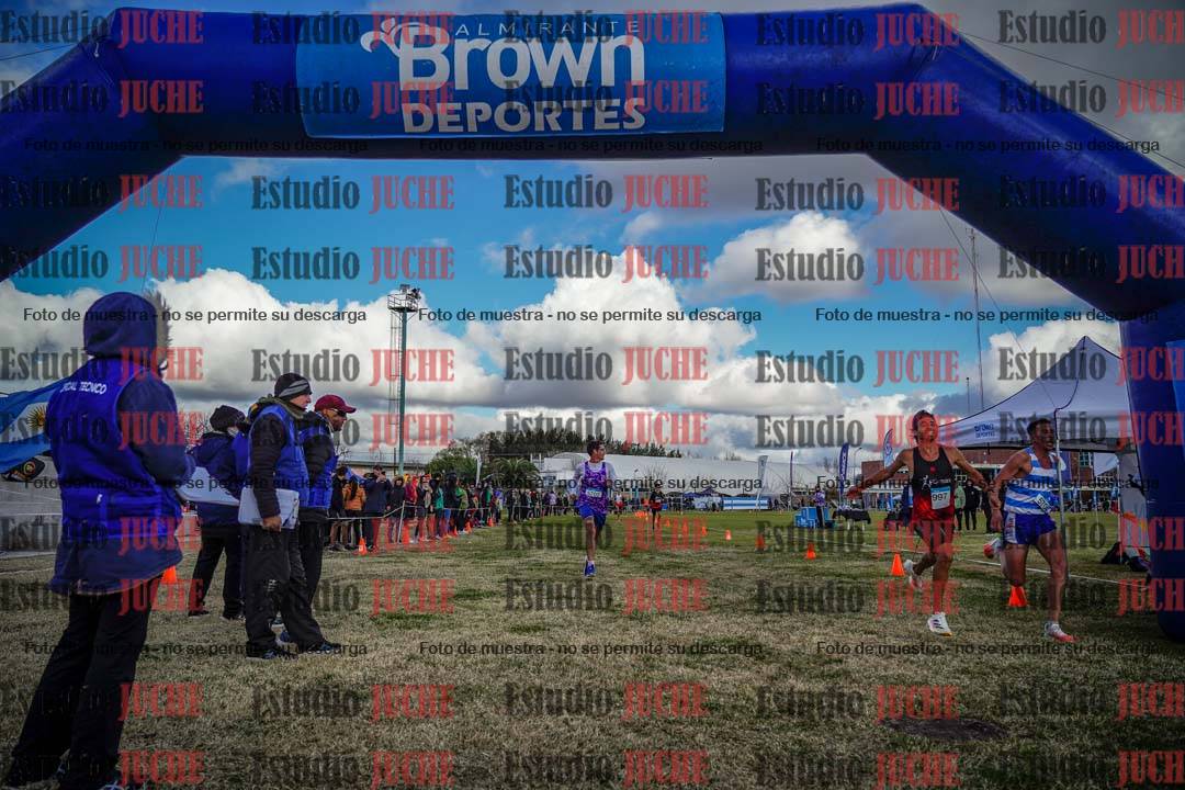 Fotos de las llegadas