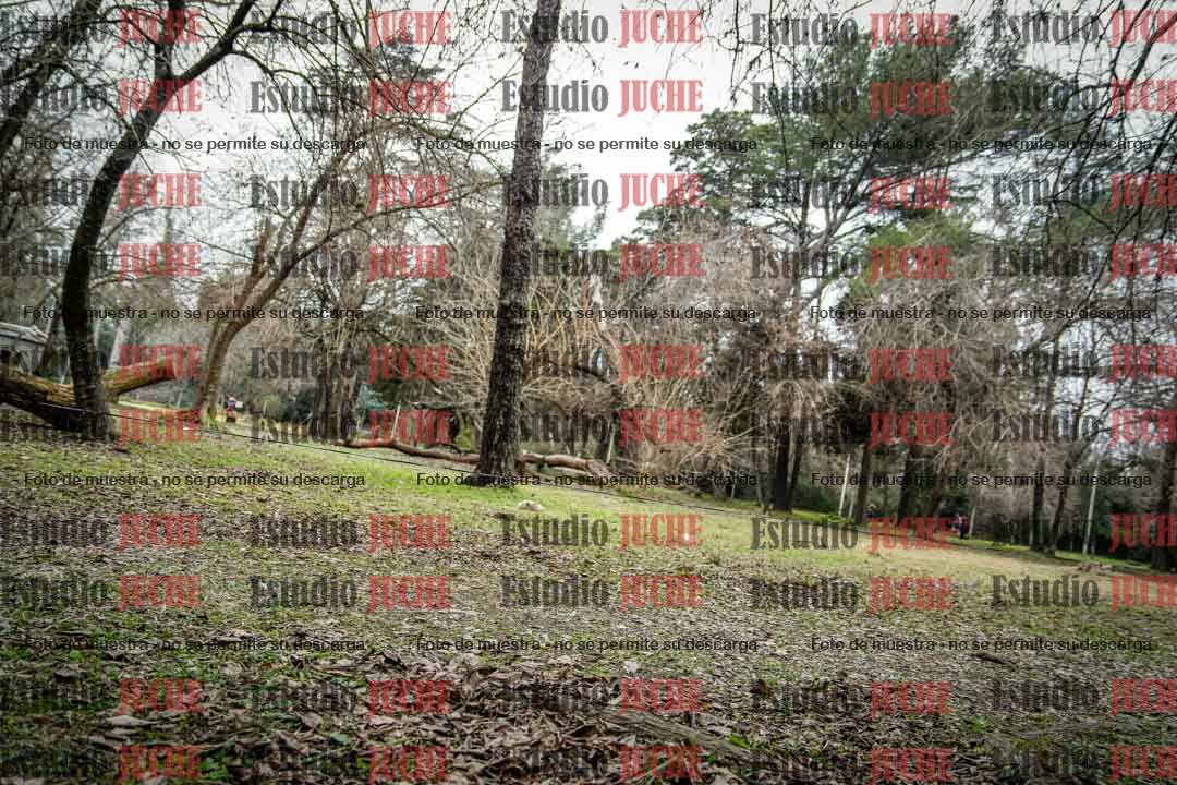 Fotos en el circuito