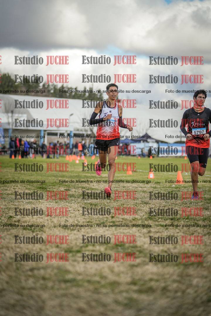 Fotos de las llegadas