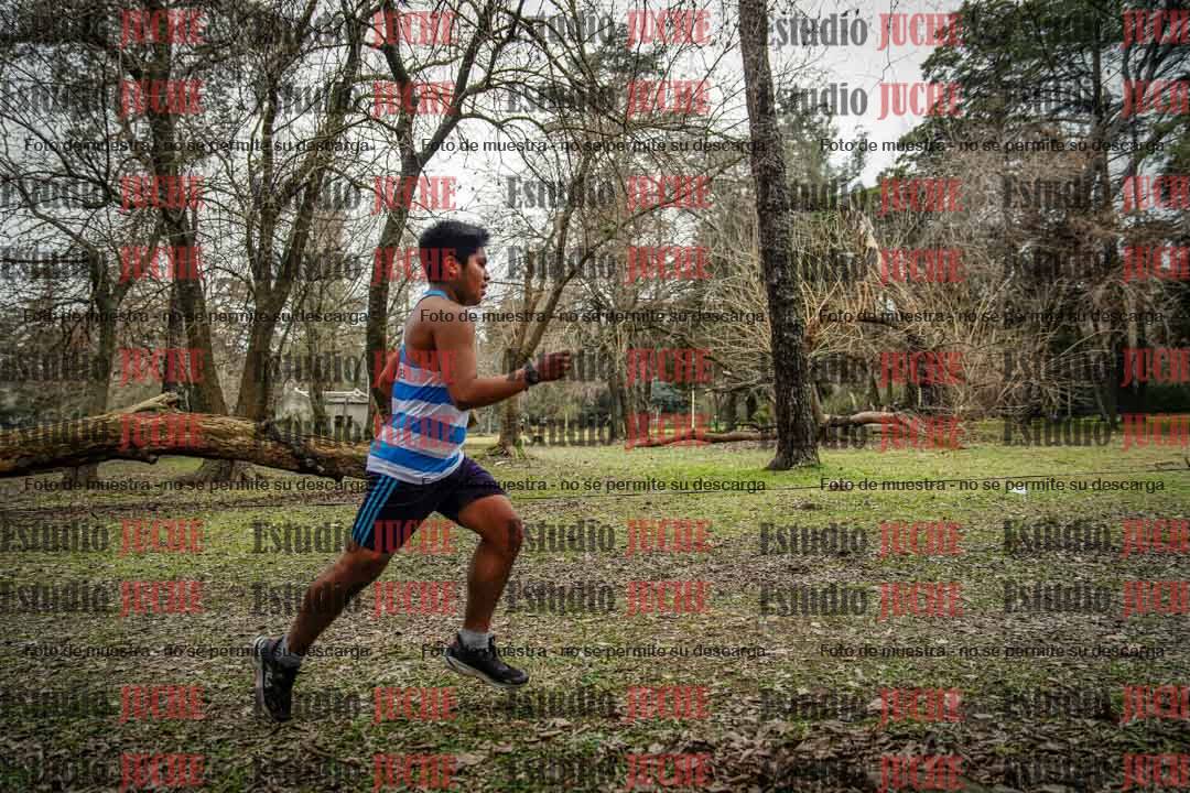 Fotos en el circuito