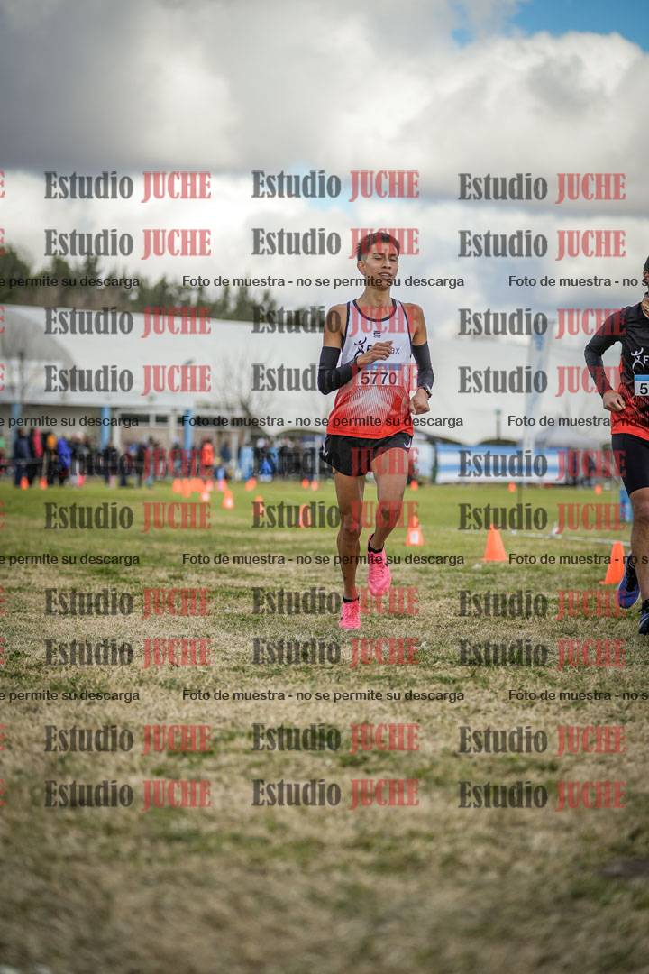 Fotos de las llegadas