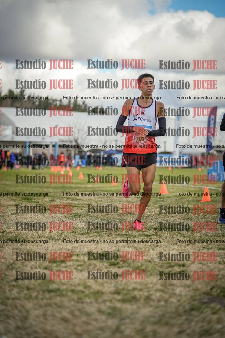 Fotos de las llegadas