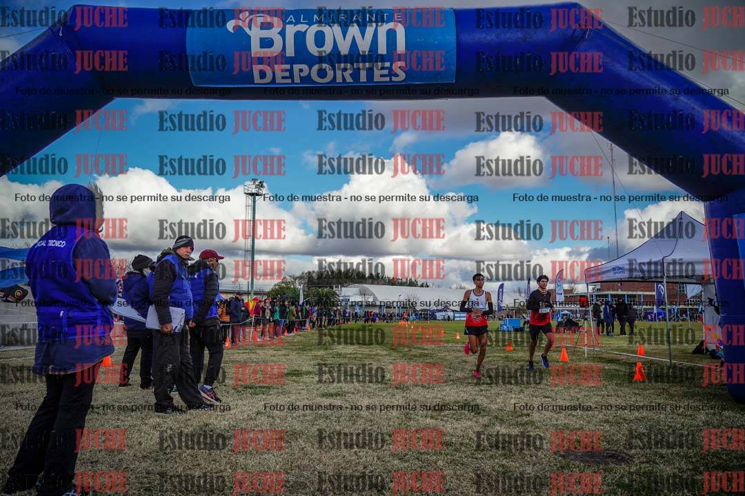 Fotos de las llegadas