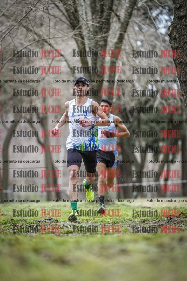 Fotos en el circuito