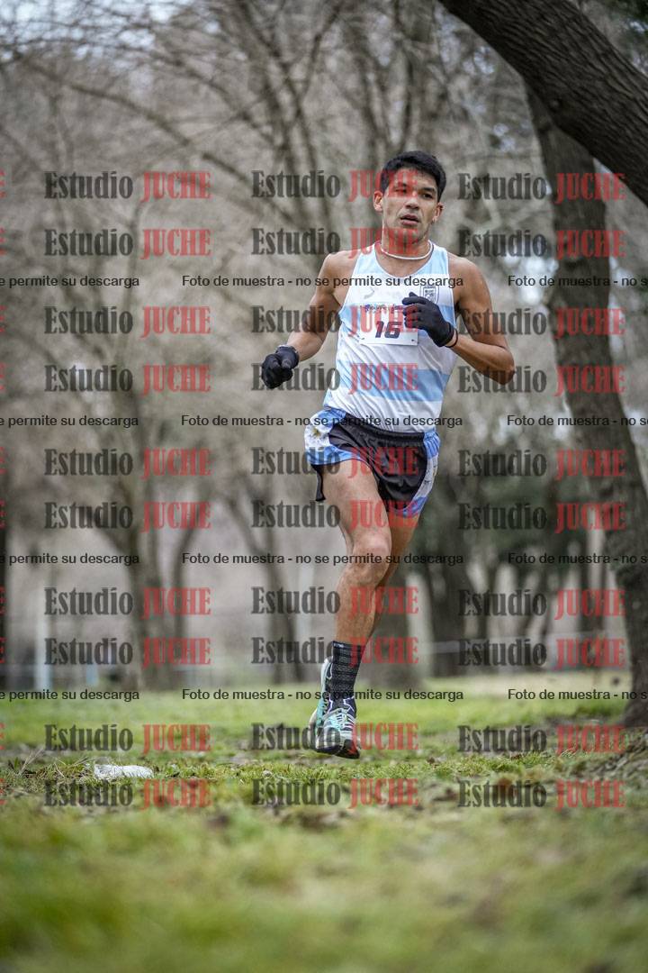 Fotos en el circuito