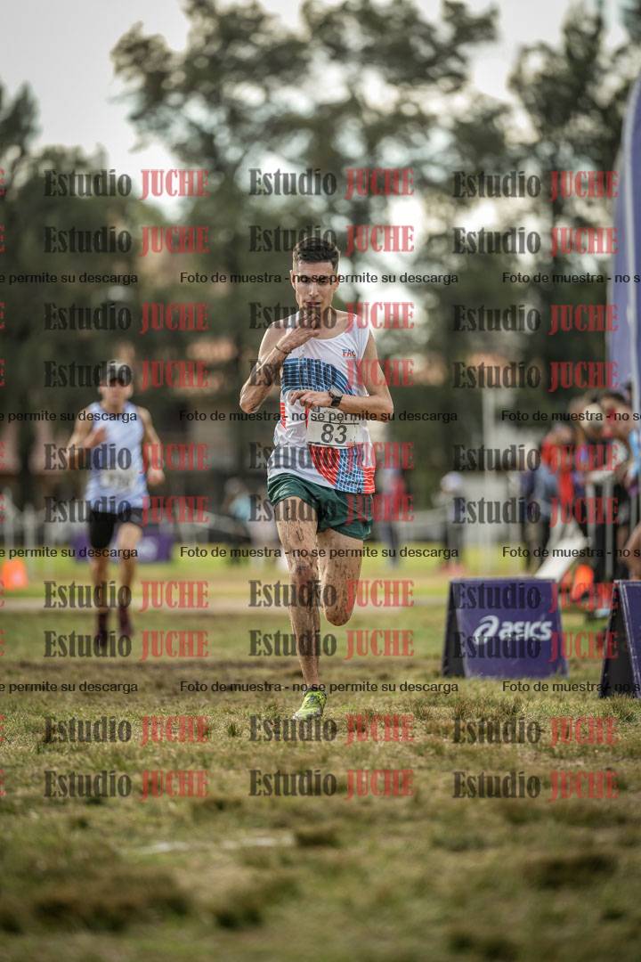 Fotos de la llegada
