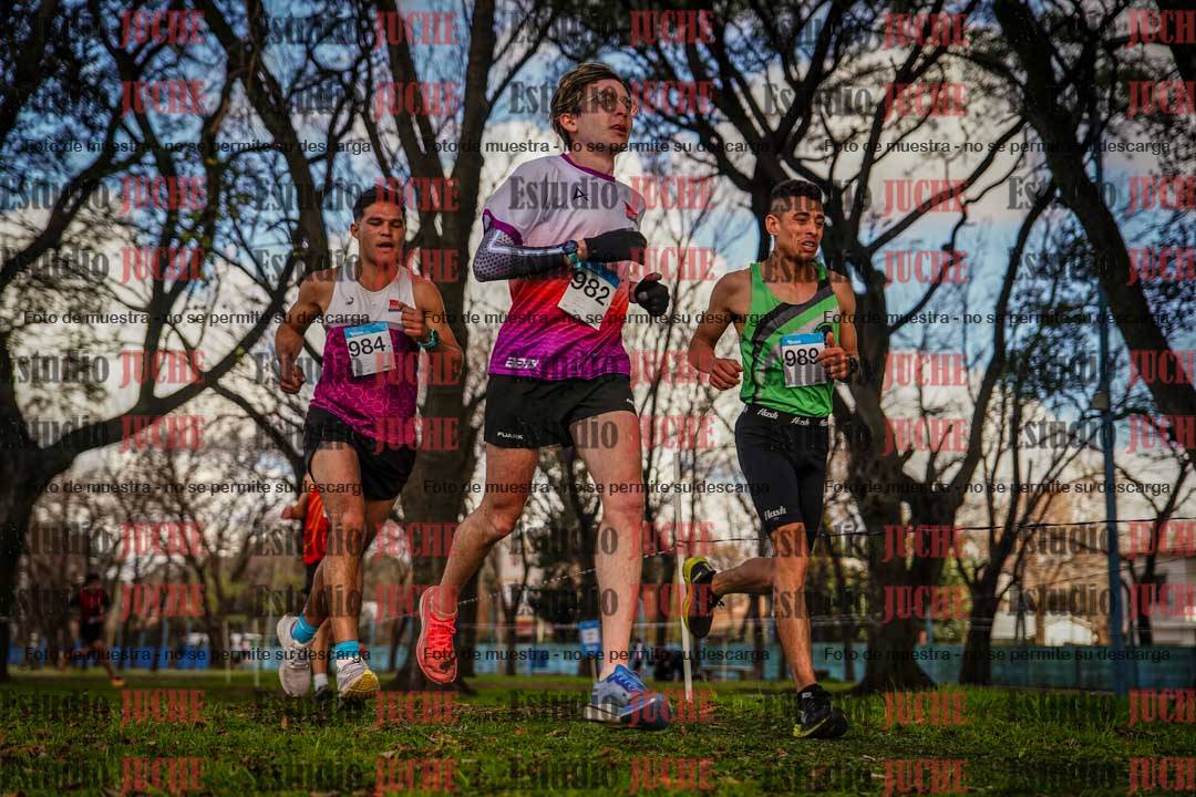 Fotos en el circuito