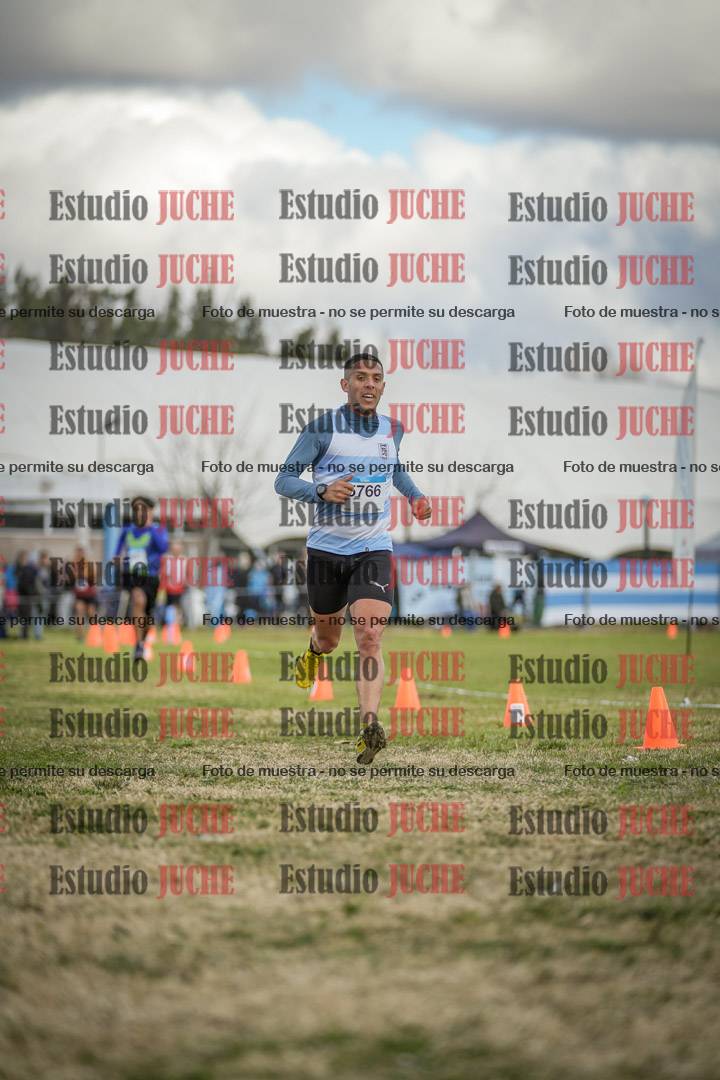 Fotos de las llegadas