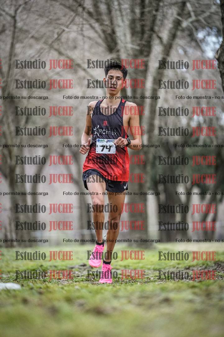 Fotos en el circuito
