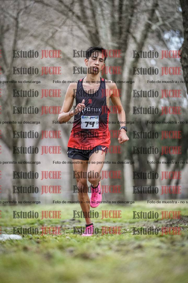 Fotos en el circuito