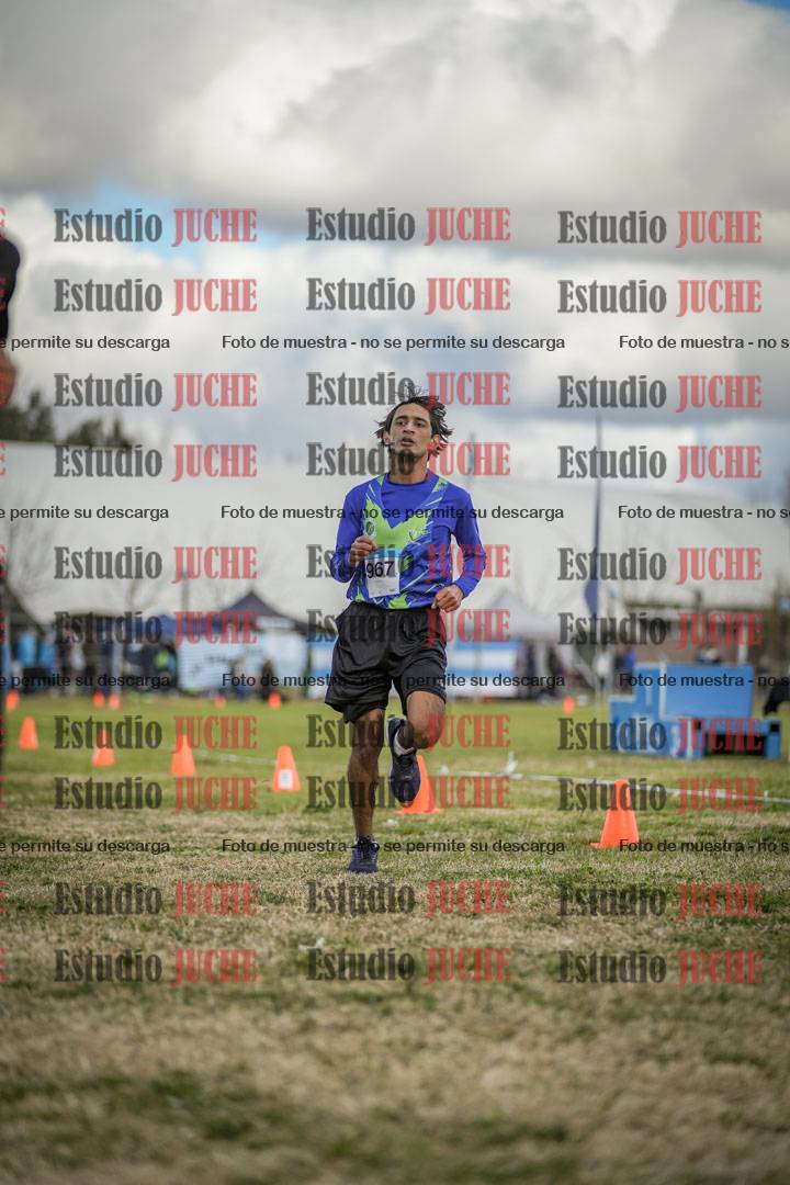 Fotos de las llegadas