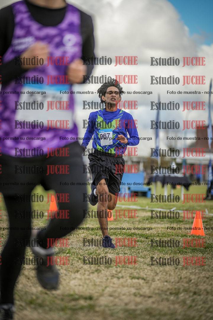 Fotos de las llegadas