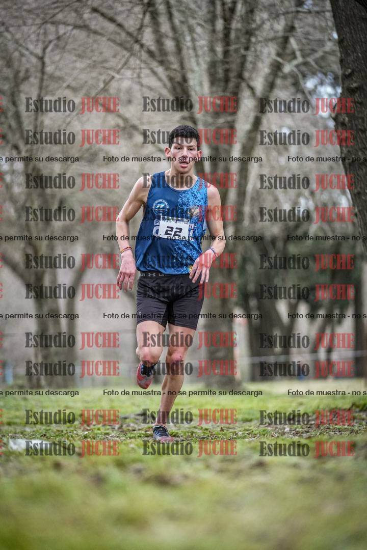 Fotos en el circuito