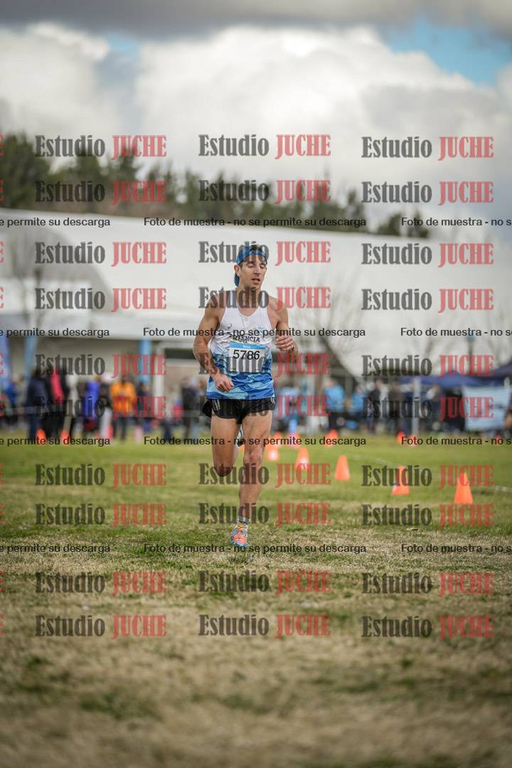 Fotos de las llegadas