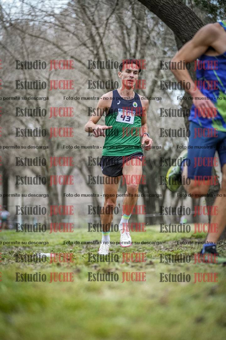 Fotos en el circuito