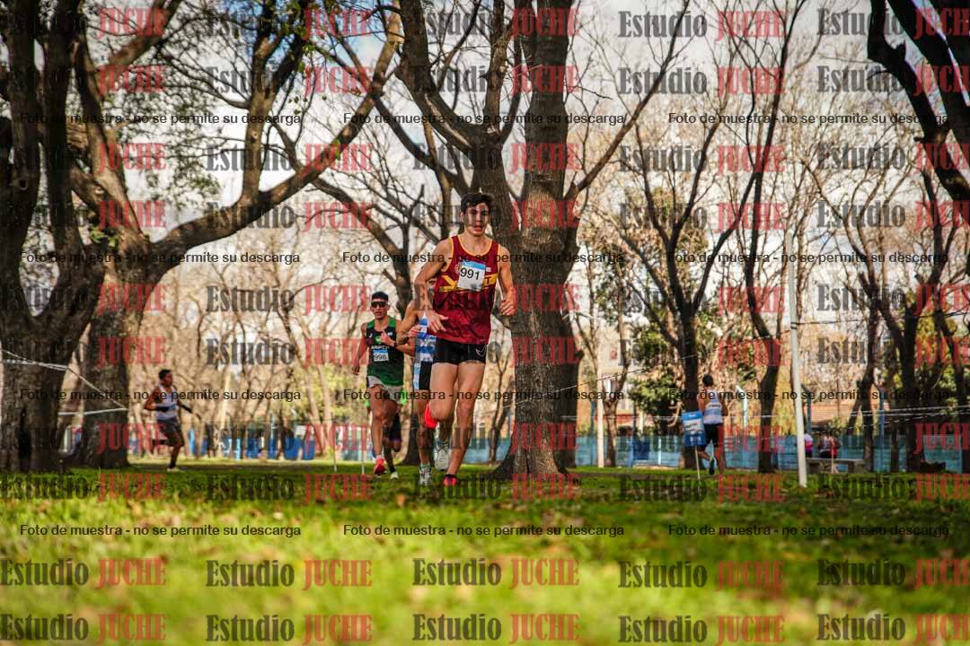 Fotos en el circuito