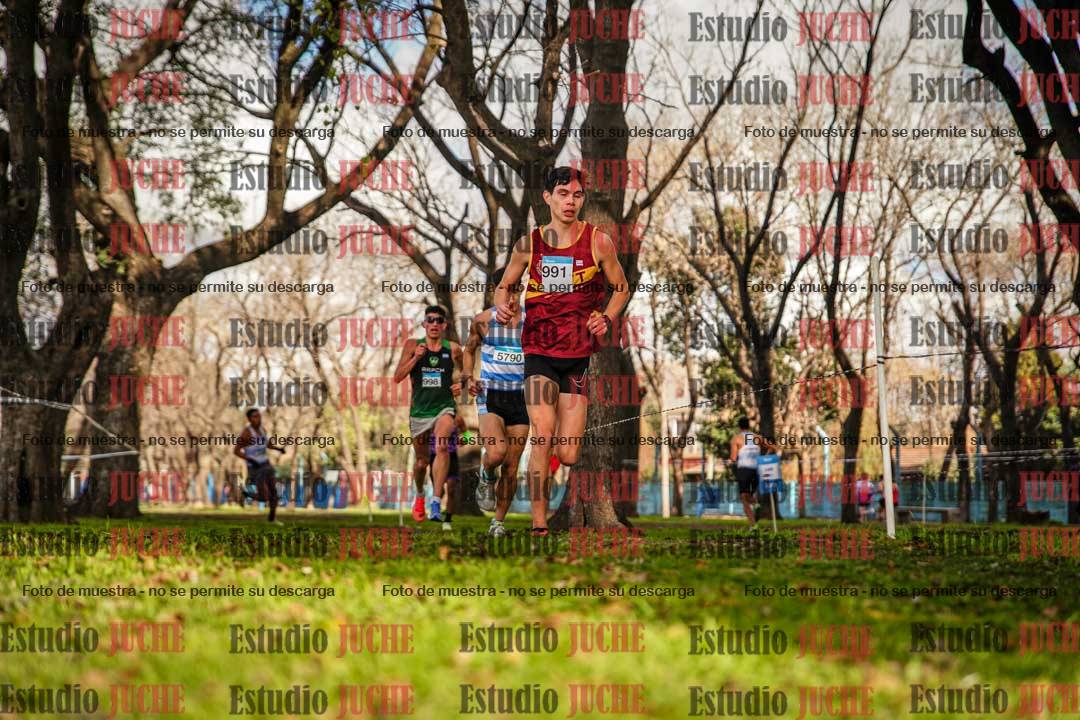 Fotos en el circuito