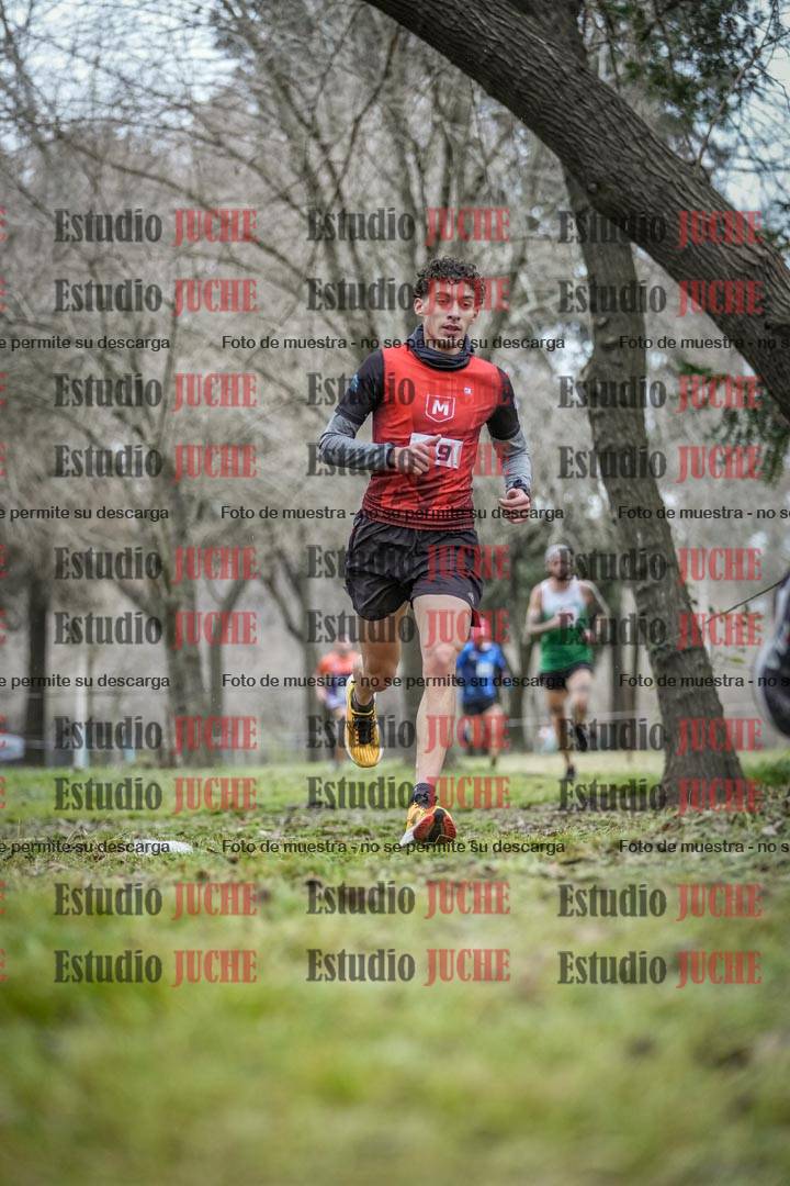 Fotos en el circuito