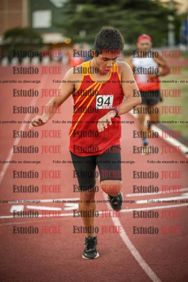 Fotos de los 3000 m llanos de varones