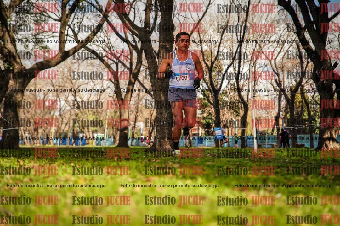 Fotos en el circuito
