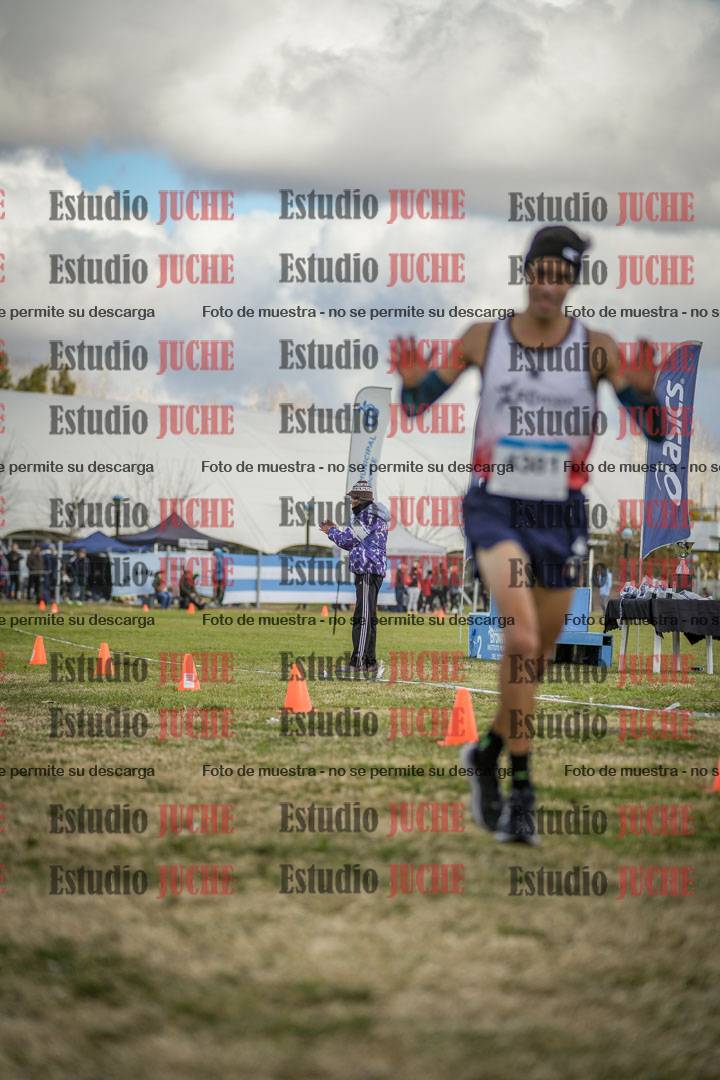 Fotos de las llegadas