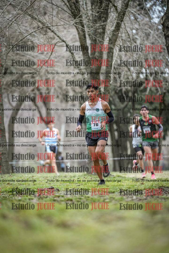 Fotos en el circuito