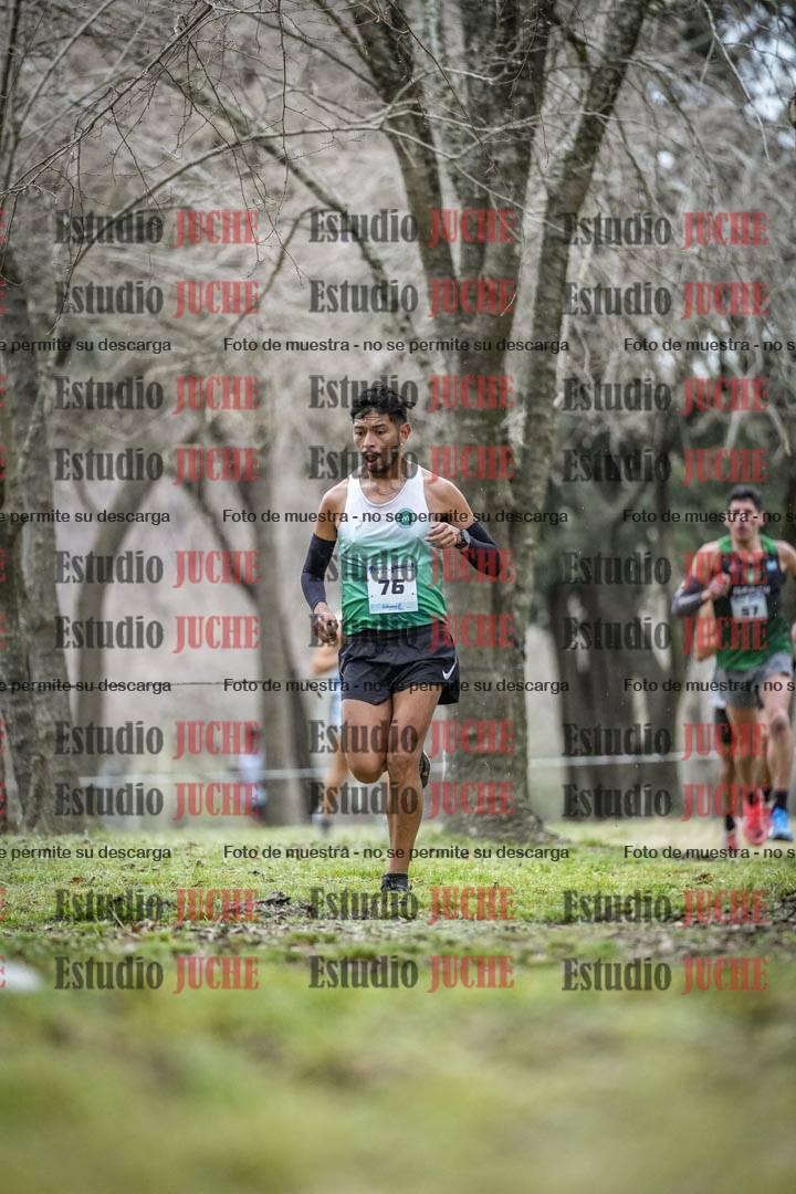 Fotos en el circuito