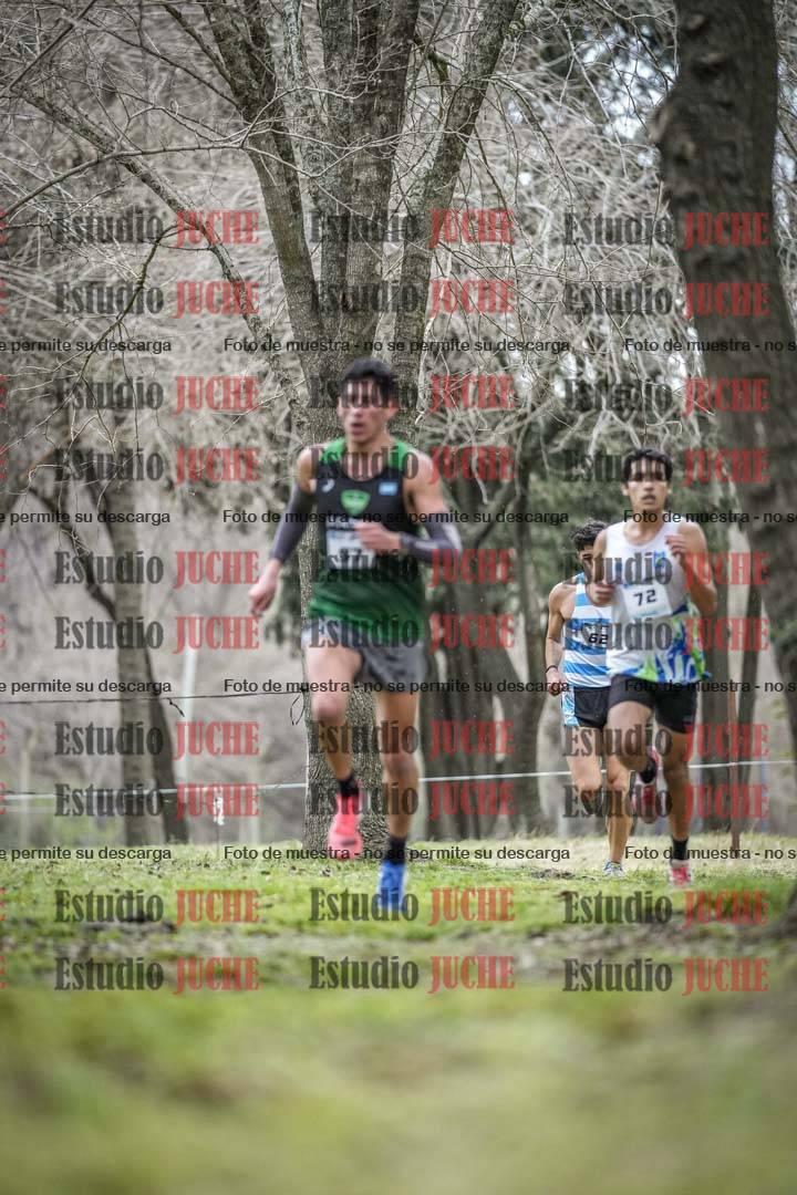 Fotos en el circuito
