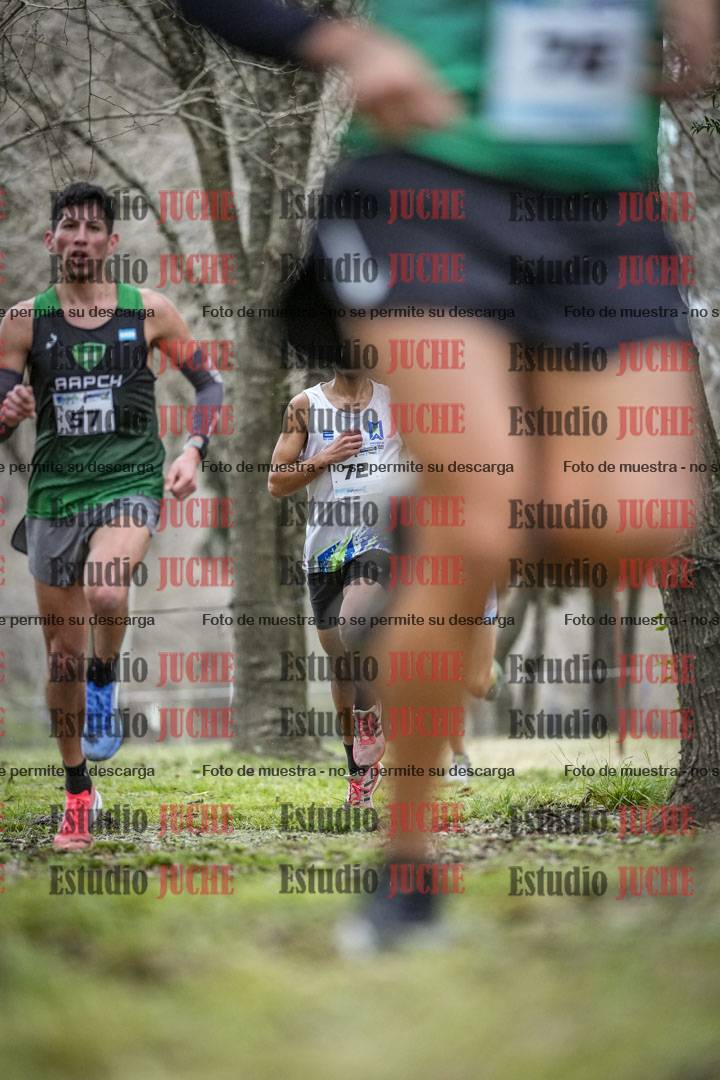 Fotos en el circuito