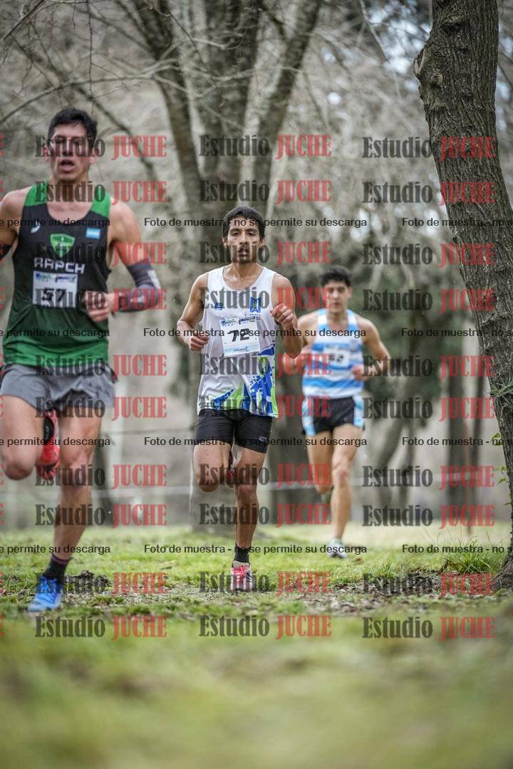 Fotos en el circuito