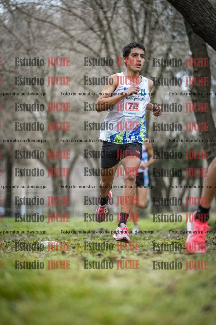 Fotos en el circuito