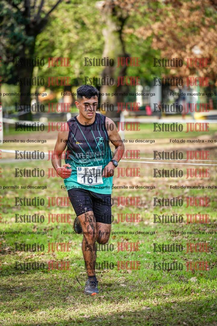 Fotos en el circuito