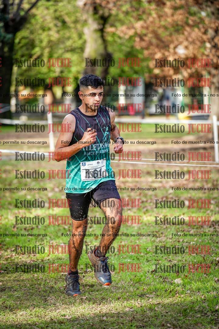 Fotos en el circuito