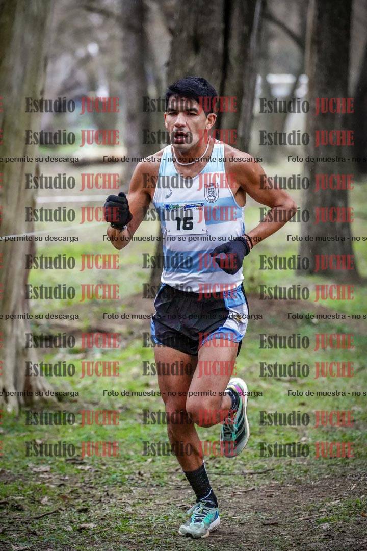 Fotos en el circuito
