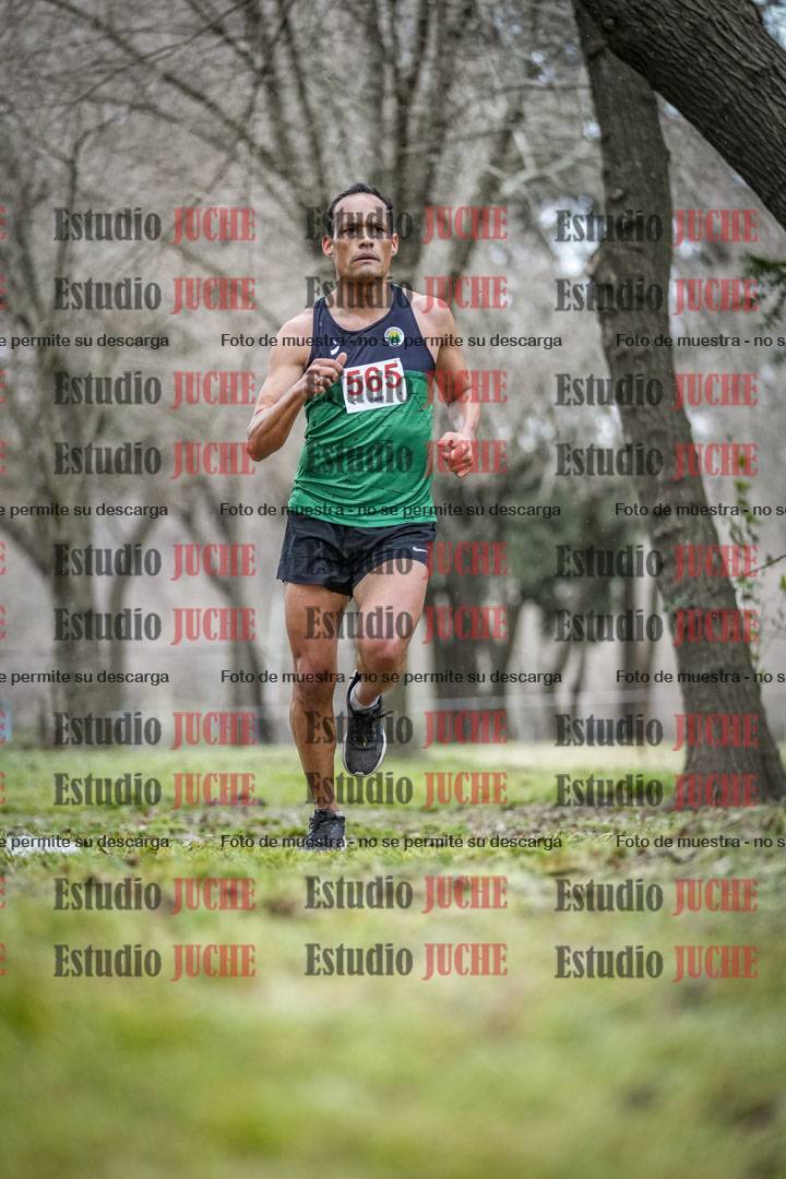 Fotos en el circuito