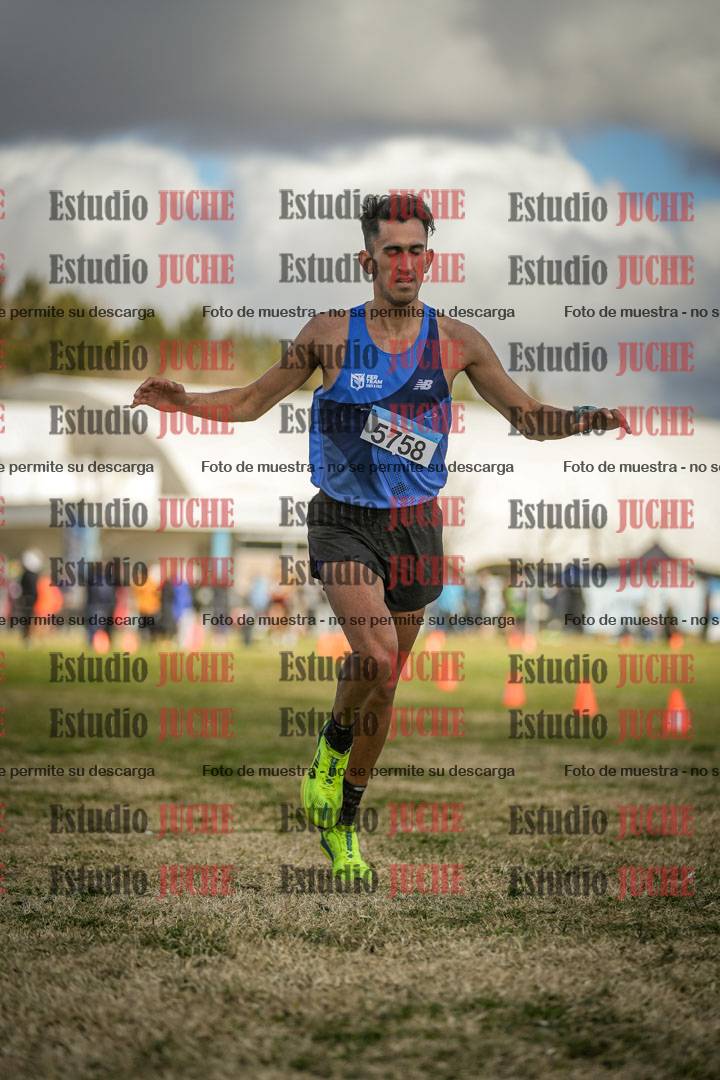 Fotos de las llegadas