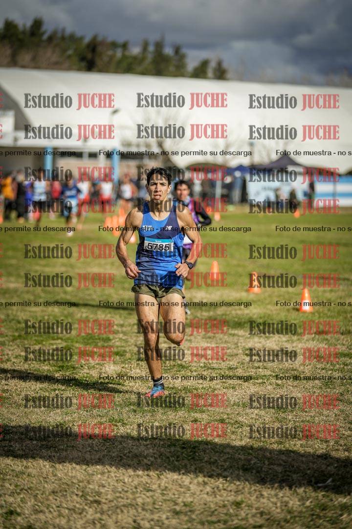 Fotos de las llegadas