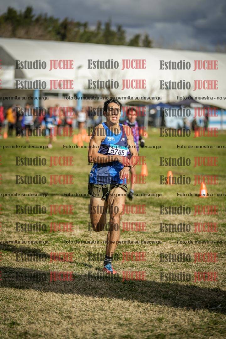 Fotos de las llegadas