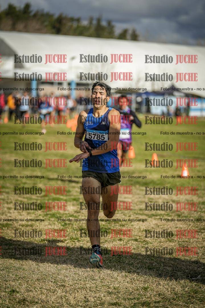 Fotos de las llegadas