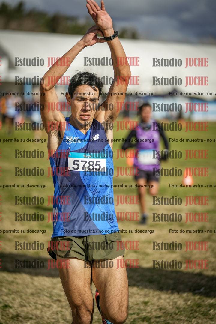 Fotos de las llegadas