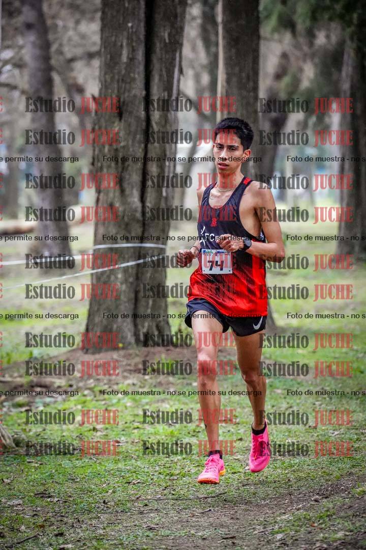 Fotos en el circuito