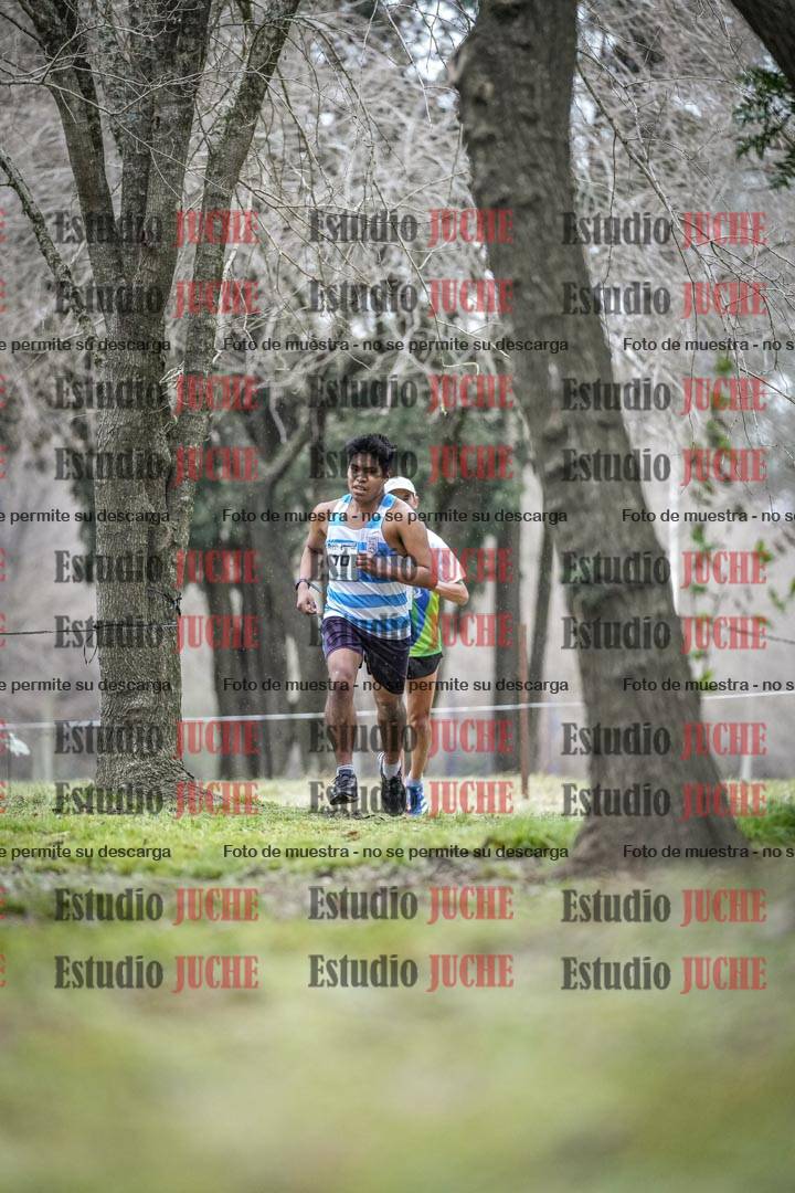 Fotos en el circuito